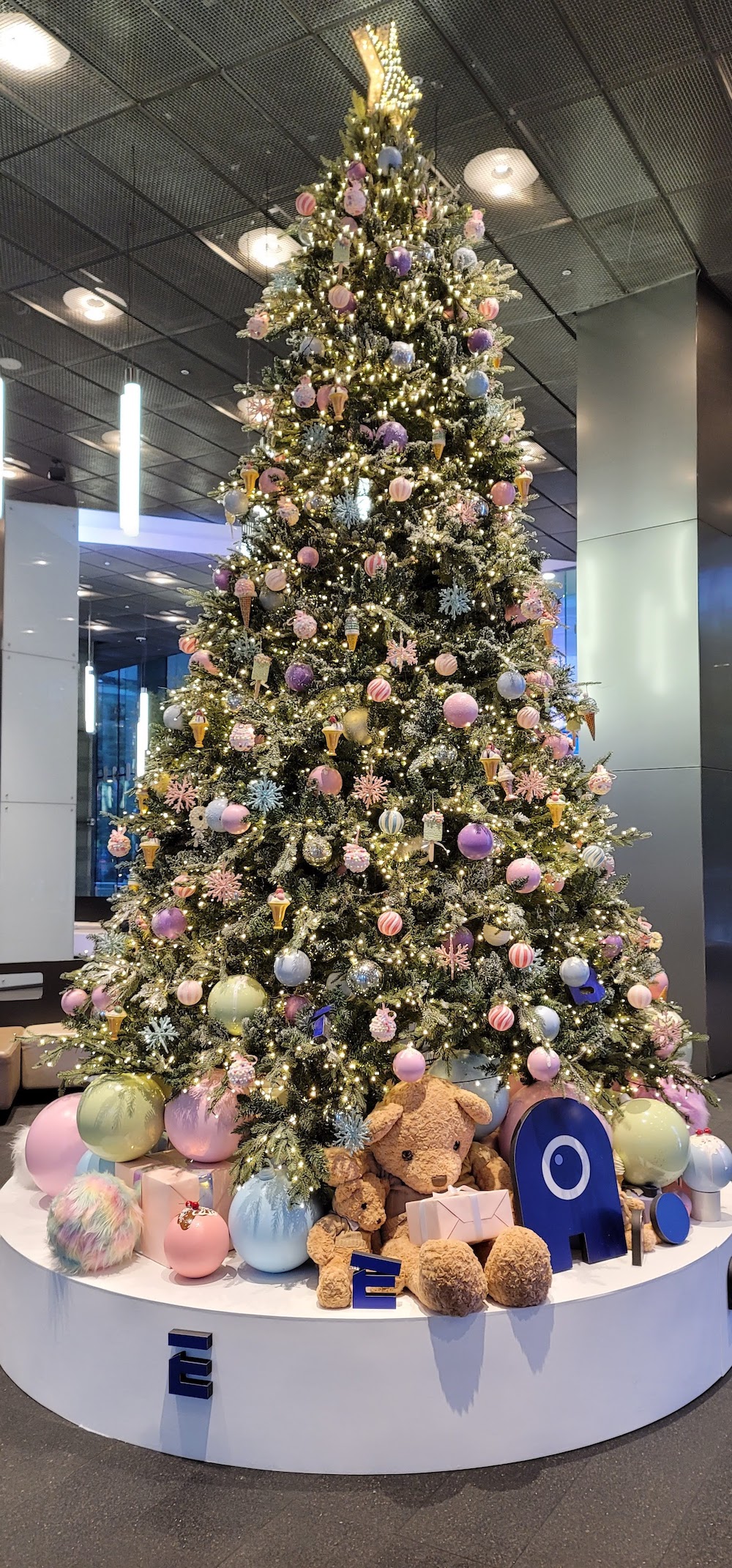 tree.jpeg