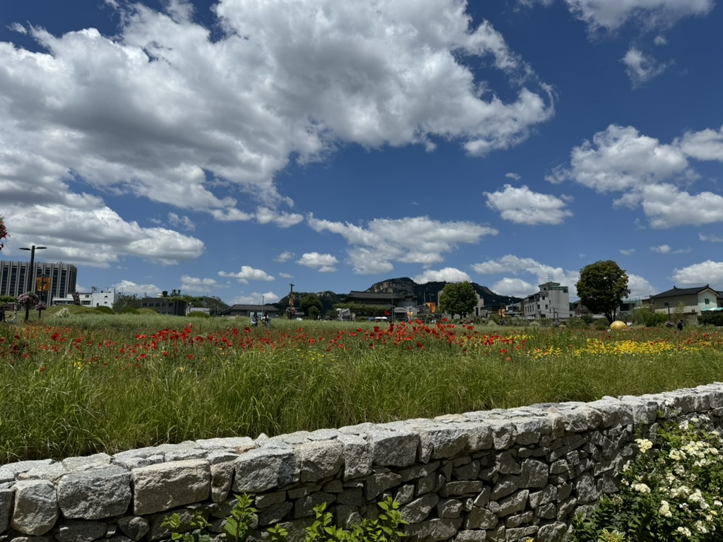 54BD1E13-3838-4F2C-ADBC-6525FE83CC3F_1_105_c.jpeg