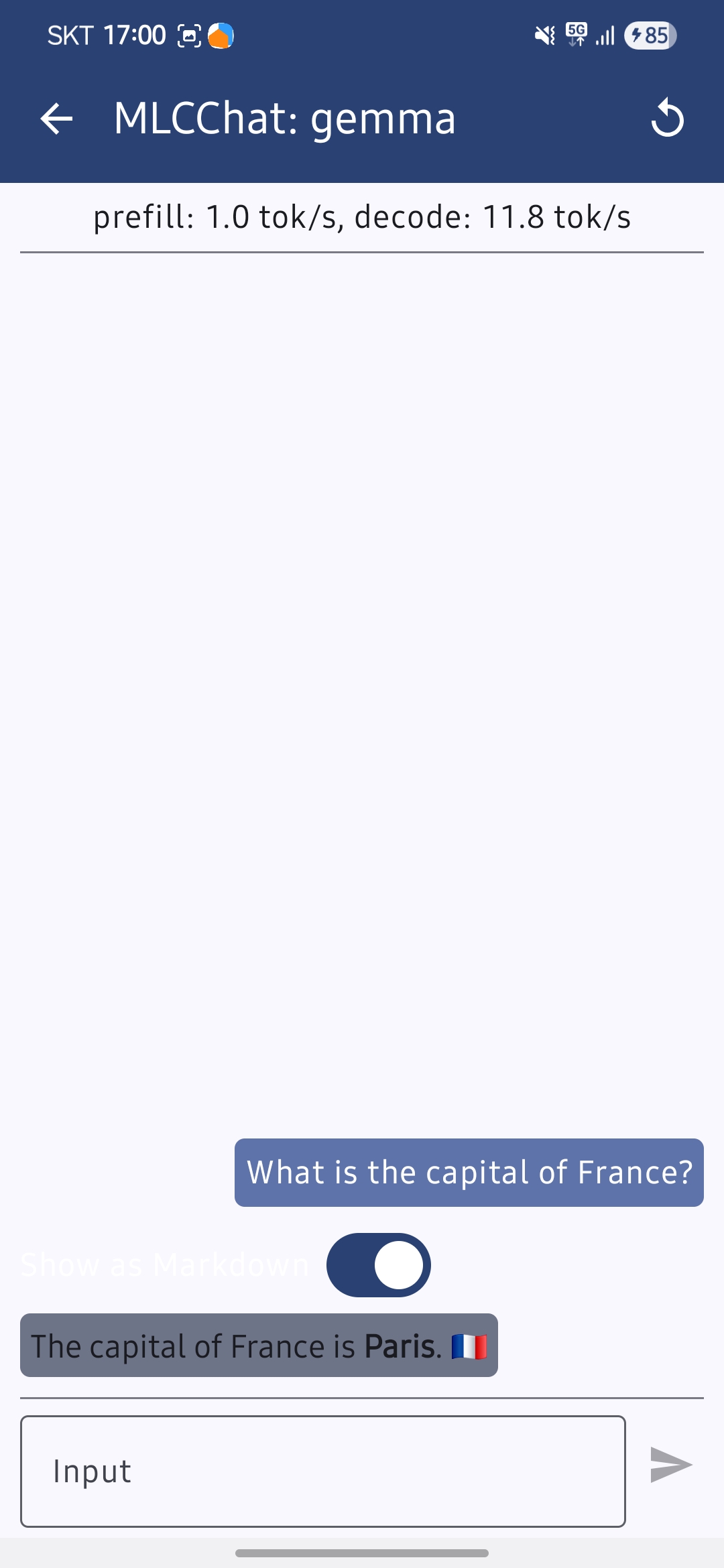 MLCChat-model-chat