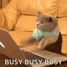so-busy-working.gif
